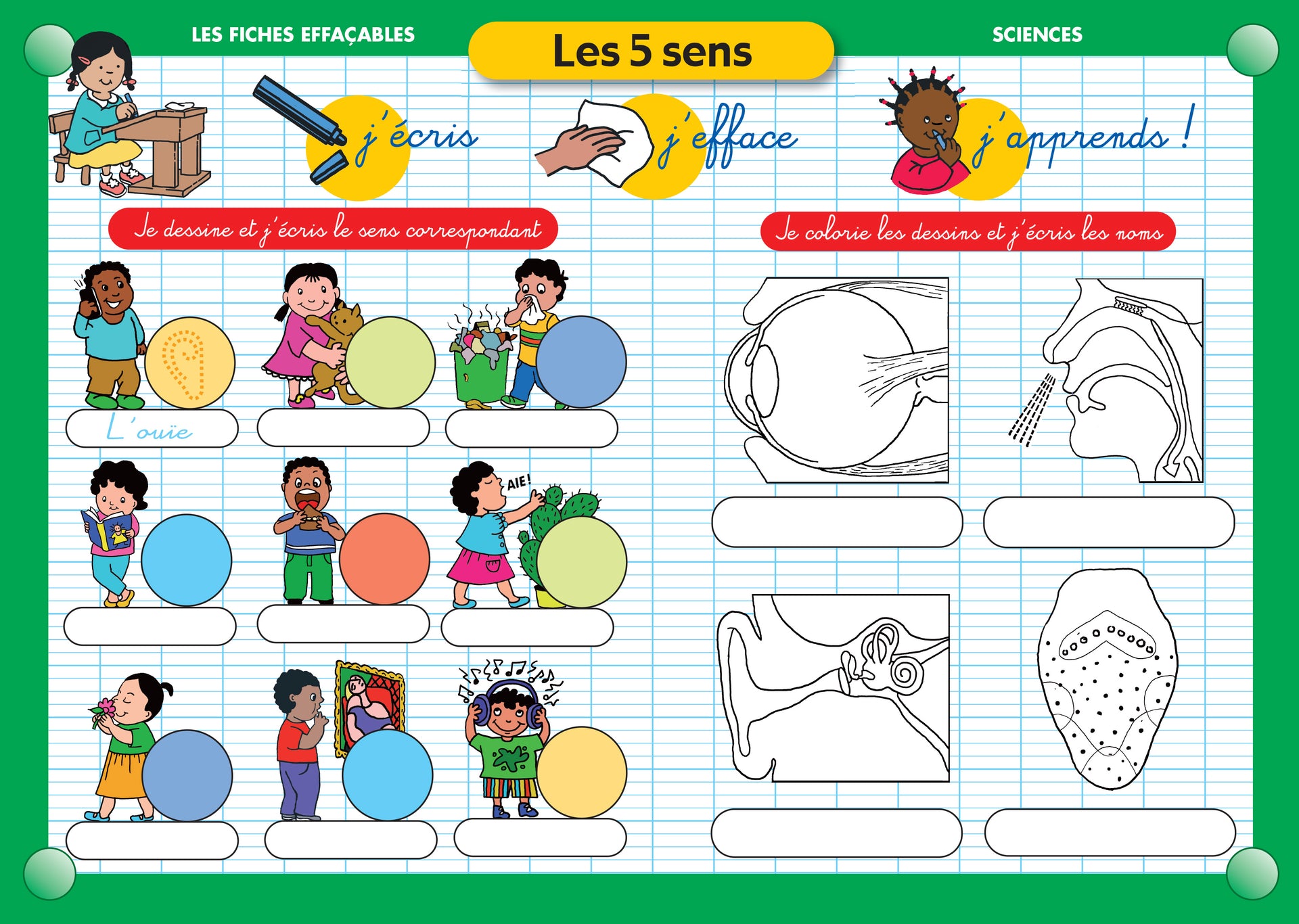FICHE EFFAÇABLE LES 5 SENS