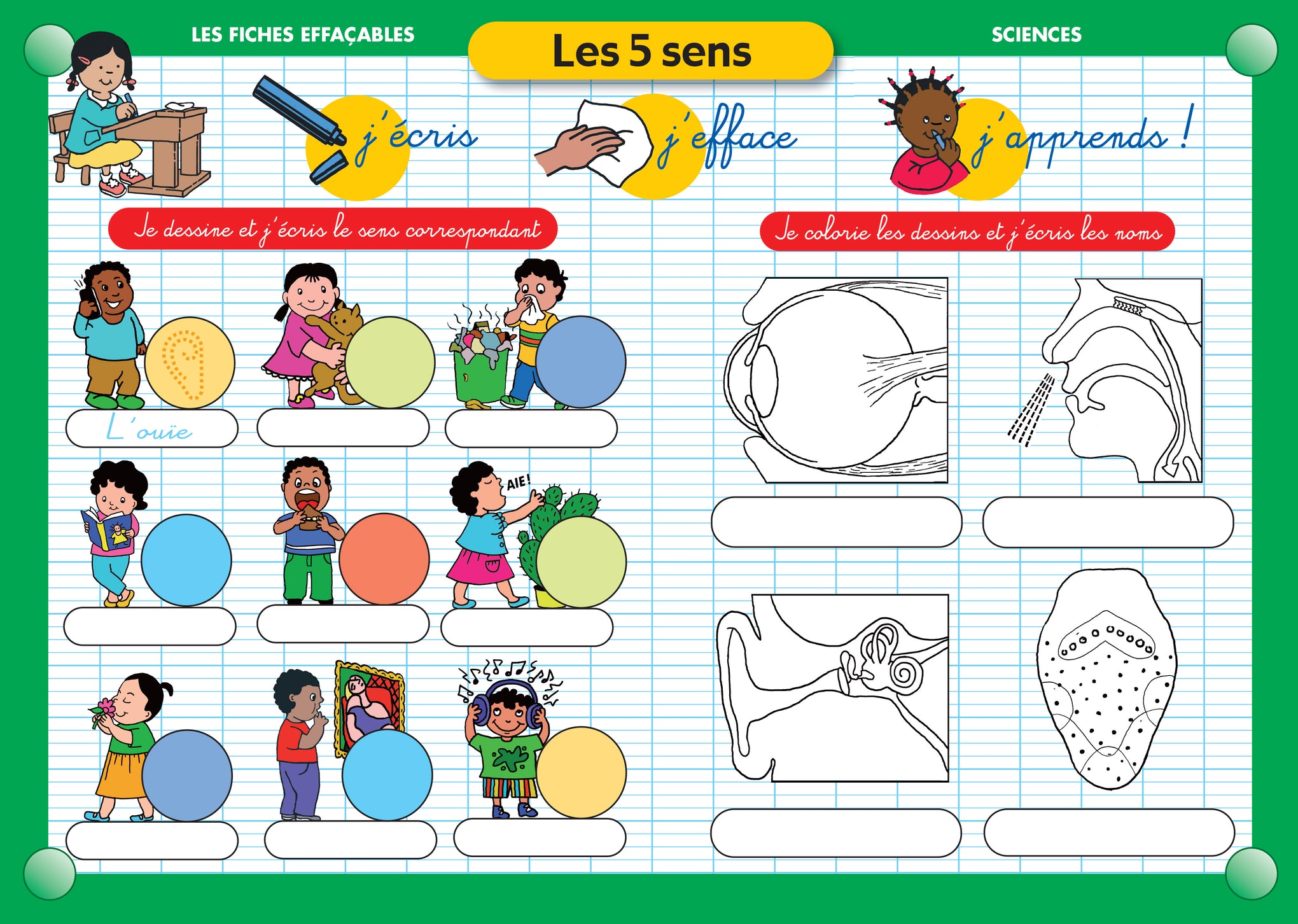 FICHE EFFAÇABLE LES 5 SENS