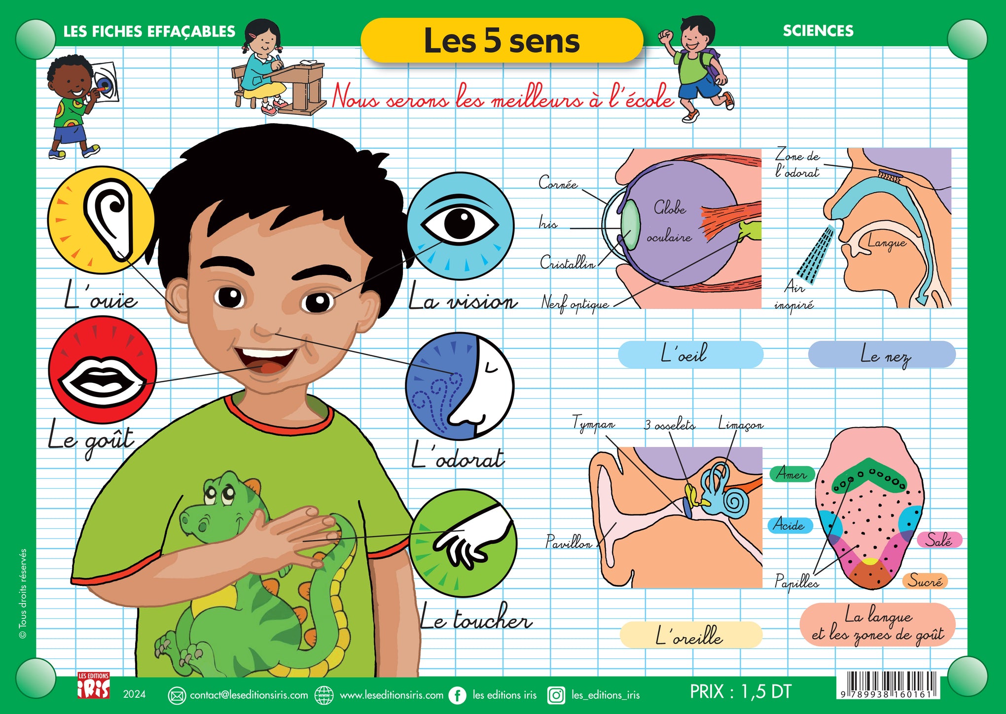 FICHE EFFAÇABLE LES 5 SENS