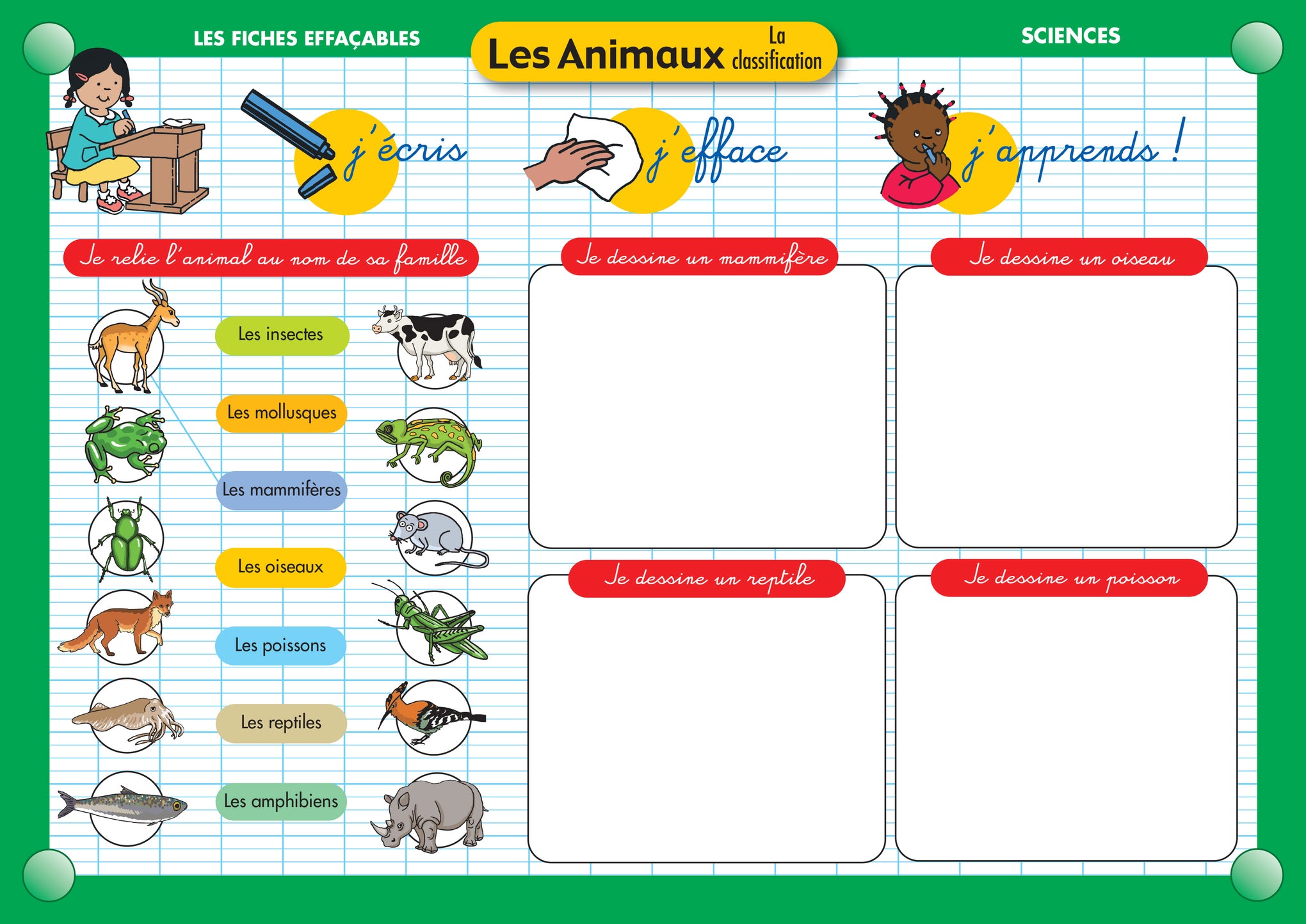 FICHE EFFAÇABLE LES ANIMAUX LA CLASSIFICATION
