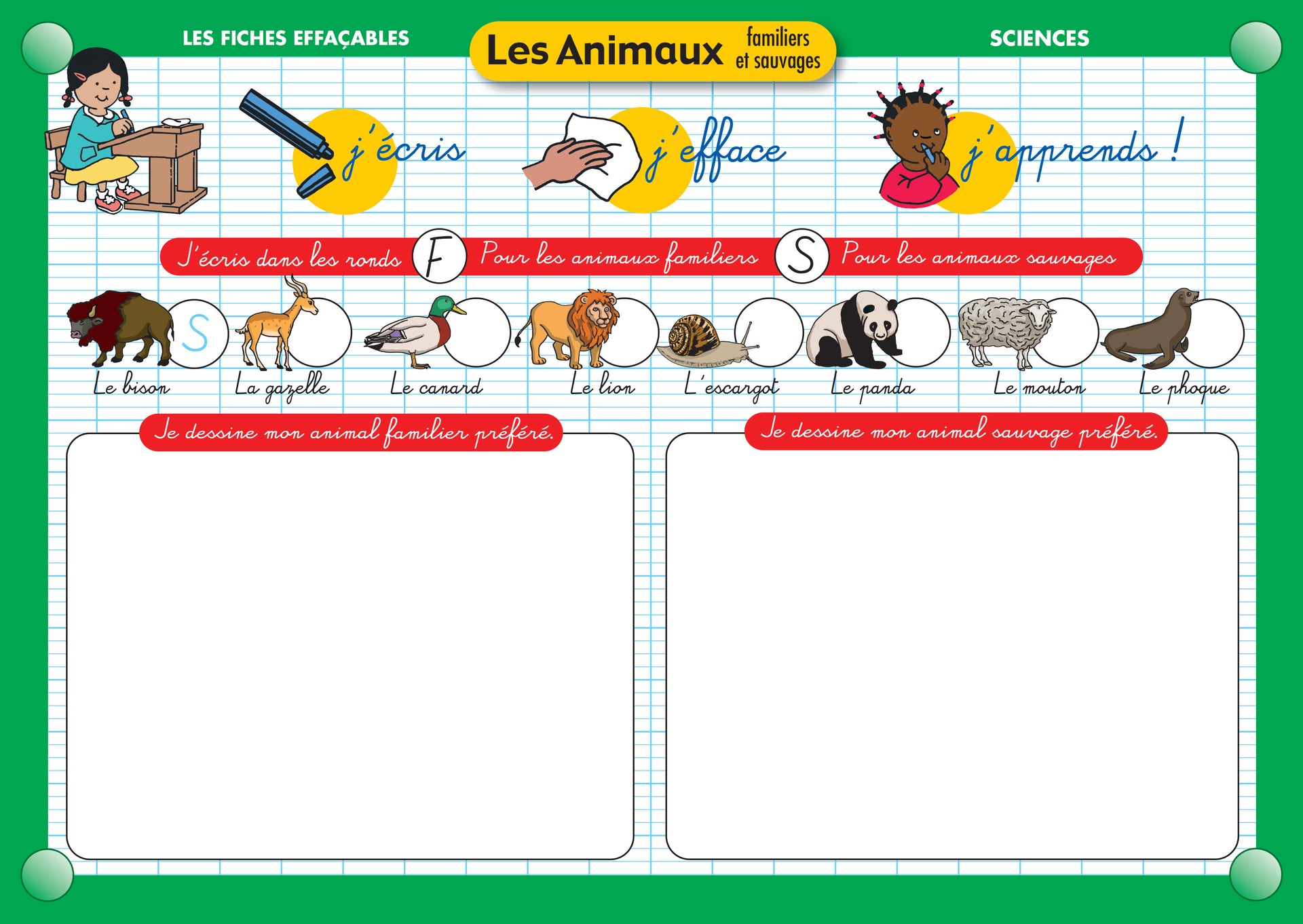 FICHE EFFAÇABLE LES ANIMAUX FAMILIERS ET SAUVAGES