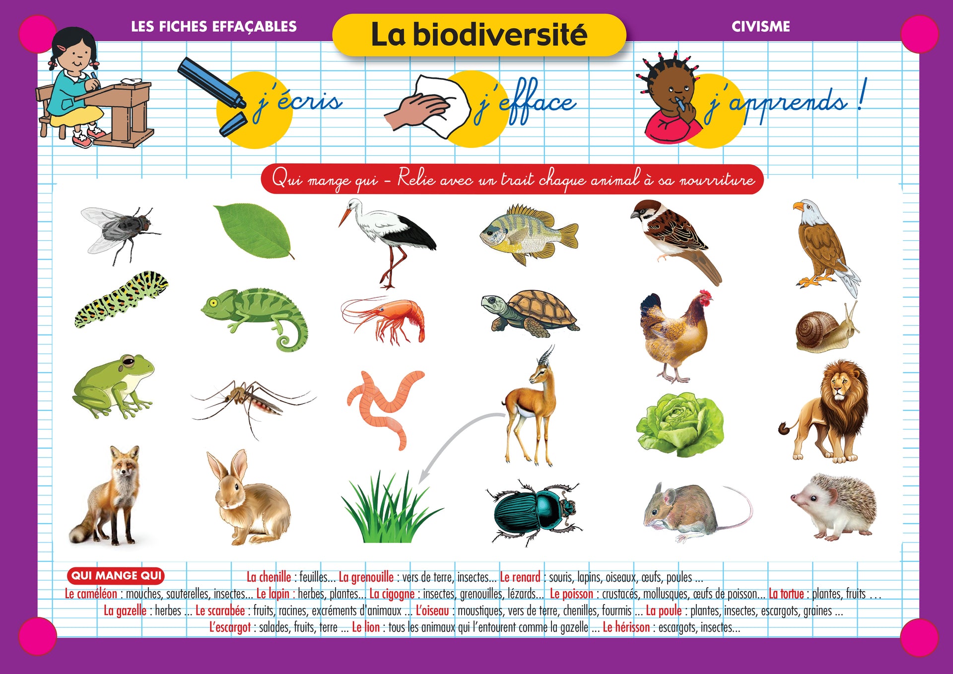 FICHE EFFAÇABLE LA BIODIVERSITÉ
