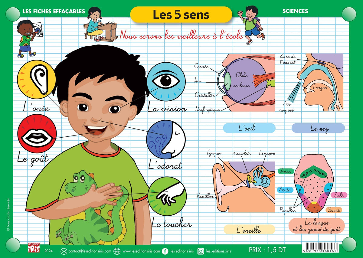 FICHE EFFAÇABLE LES 5 SENS