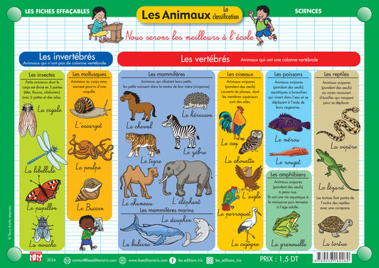 FICHE EFFAÇABLE LES ANIMAUX LA CLASSIFICATION