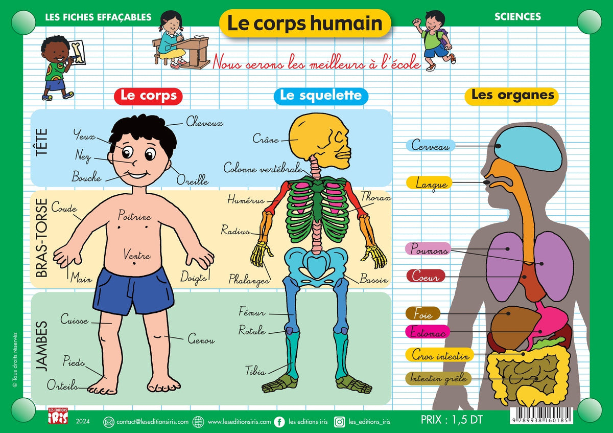 Fiche effaçable le corps humain, version française — Éditions Iris