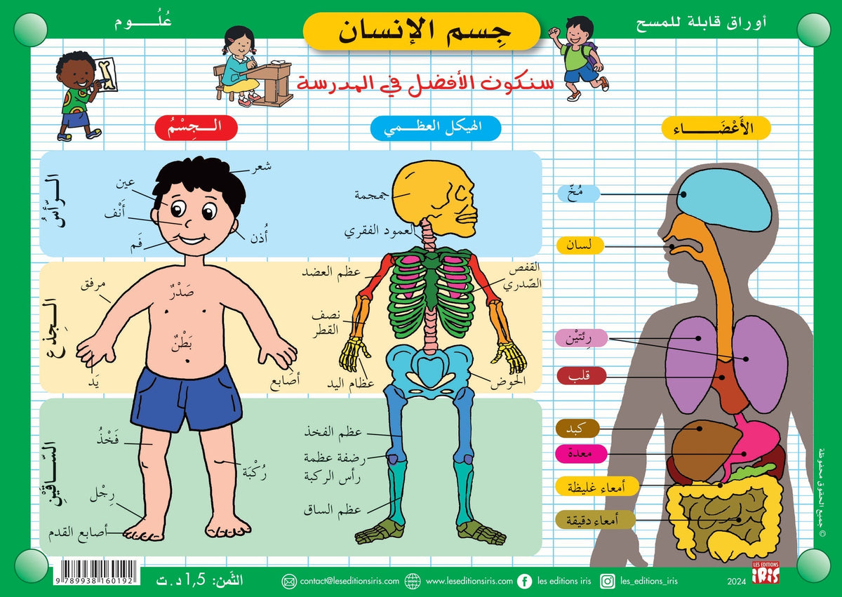 Fiche effaçable en arabe sur le corps humain — Éditions Iris