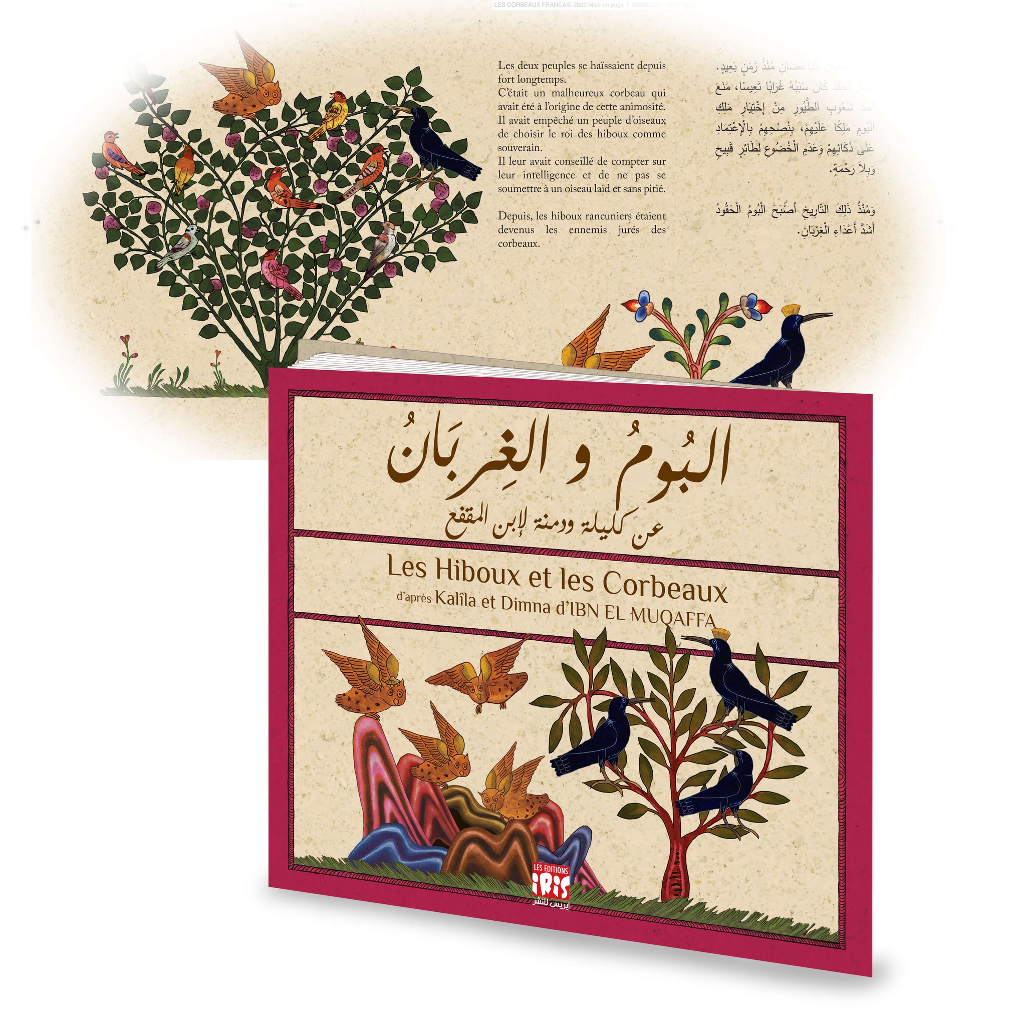 HIBOUX CORBEAU AMAZONE volume.jpg__PID:d64362f2-8d51-4a0e-9a1d-aed0354d881f