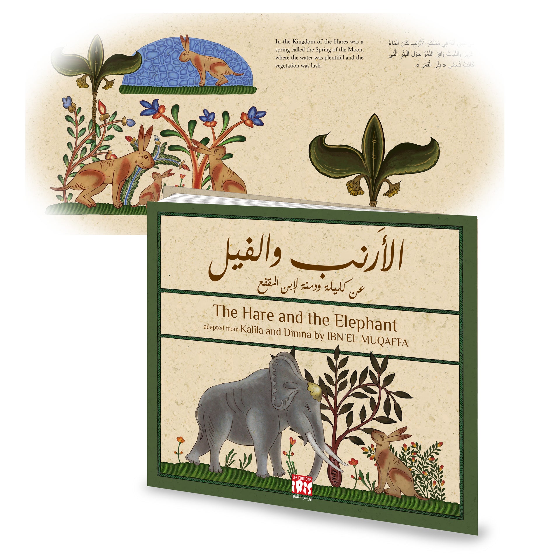 LIEVRE ET ELEPHANT ANGLAIS AMAZONE volume.jpg__PID:03407b39-a65b-4667-b9fe-f8af9ec99be2